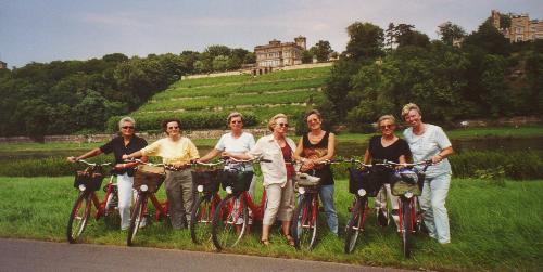 Fahrradgruppe an Elbwiesen in
Dresden